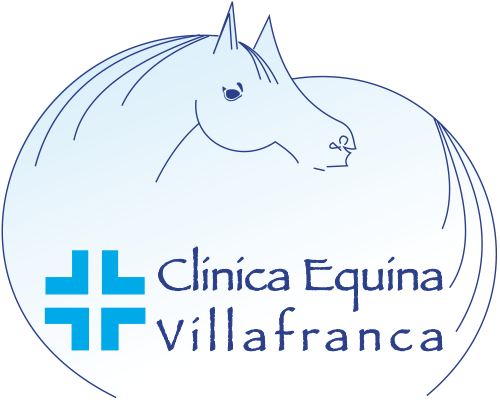 Clinica equina Villafranca